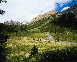 《龙珠：超宇宙2》新DLC角色“蒂斯破”公布 今夏上线