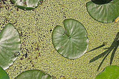 《黑相集：心中魔》今秋发售 全新预告公布